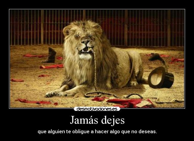 Jamás dejes - que alguien te obligue a hacer algo que no deseas.