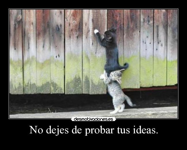 No dejes de probar tus ideas. -