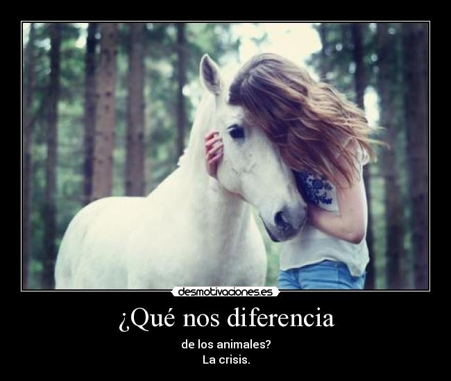 ¿Qué nos diferencia - de los animales?
La crisis.