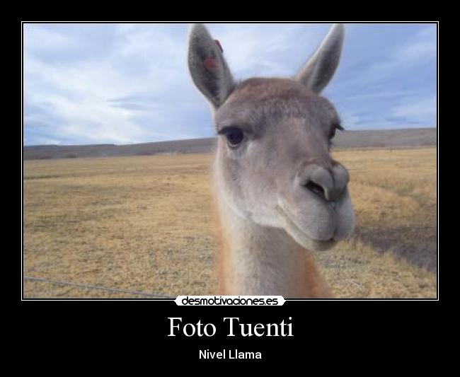 Foto Tuenti - 