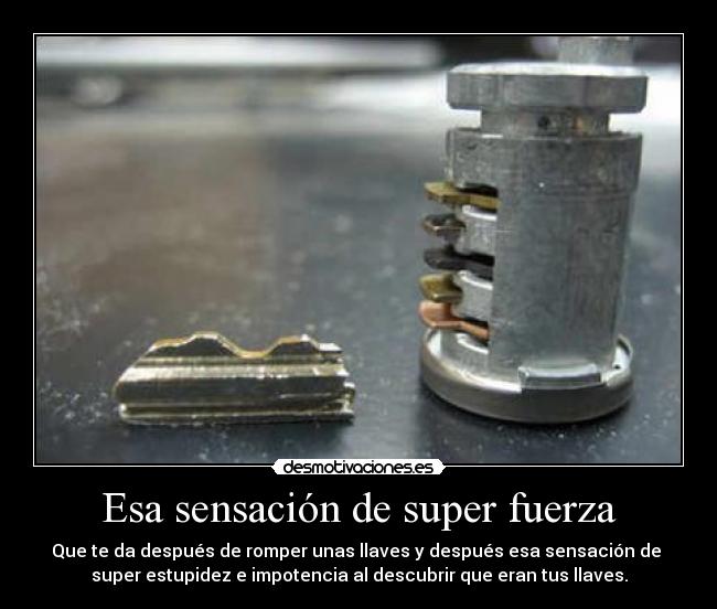 Esa sensación de super fuerza - Que te da después de romper unas llaves y después esa sensación de
super estupidez e impotencia al descubrir que eran tus llaves.