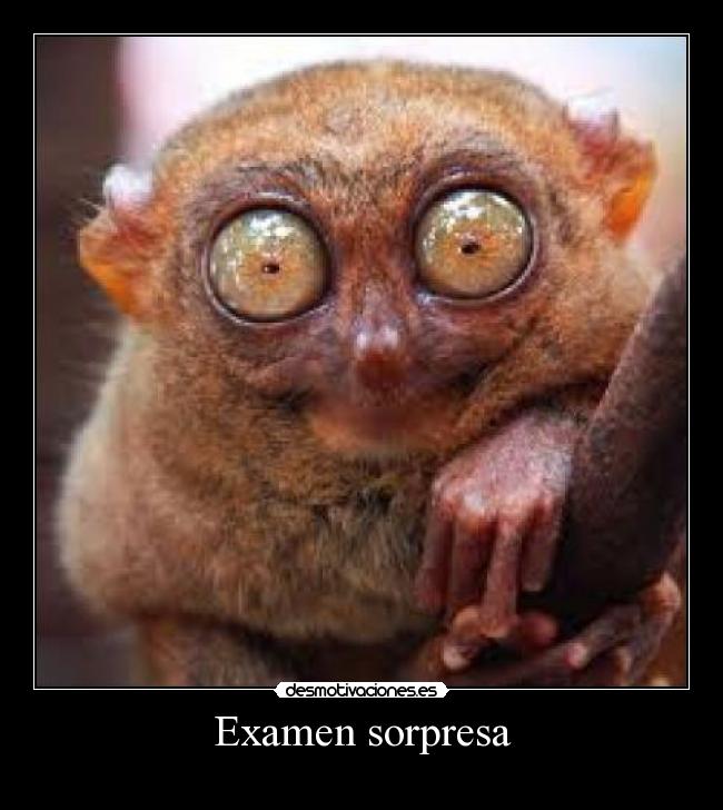 Examen sorpresa -