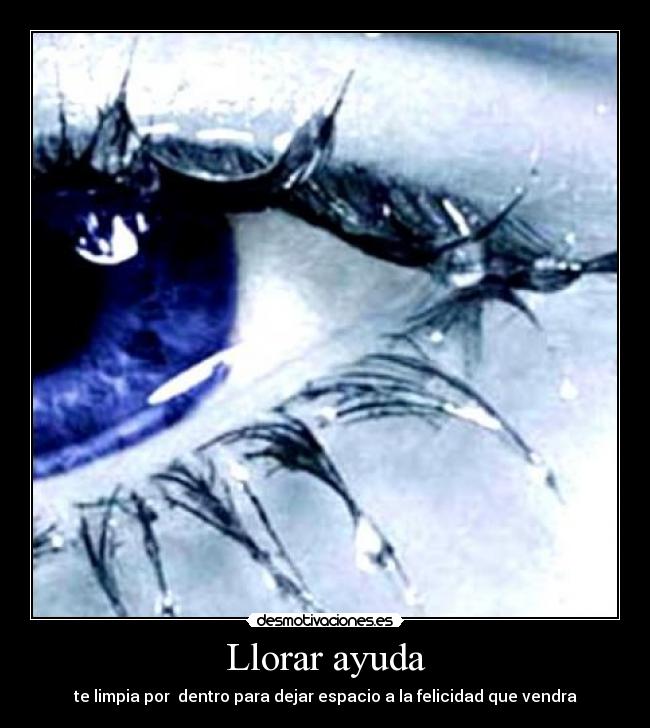 carteles llorar ayuda alexz desmotivaciones