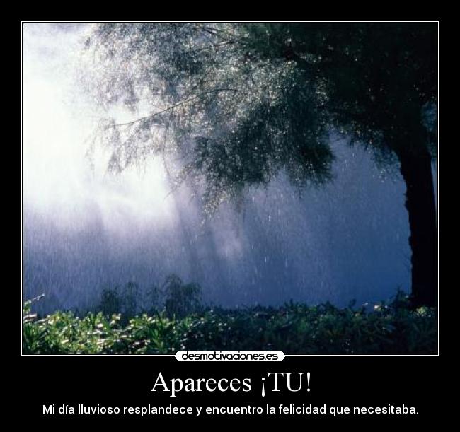 Apareces ¡TU! - Mi día lluvioso resplandece y encuentro la felicidad que necesitaba.