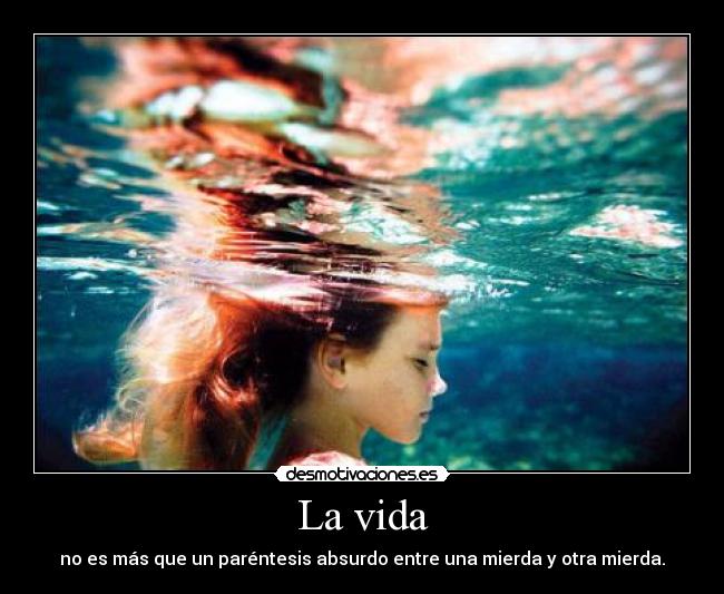 La vida - no es más que un paréntesis absurdo entre una mierda y otra mierda.