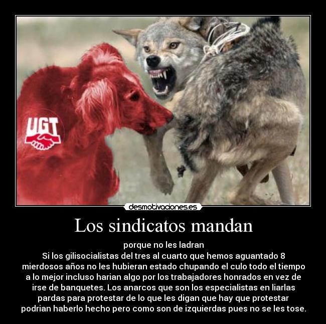 Los sindicatos mandan - porque no les ladran
Si los gilisocialistas del tres al cuarto que hemos aguantado 8
mierdosos años no les hubieran estado chupando el culo todo el tiempo
a lo mejor incluso harian algo por los trabajadores honrados en vez de
irse de banquetes. Los anarcos que son los especialistas en liarlas
pardas para protestar de lo que les digan que hay que protestar
podrian haberlo hecho pero como son de izquierdas pues no se les tose.
