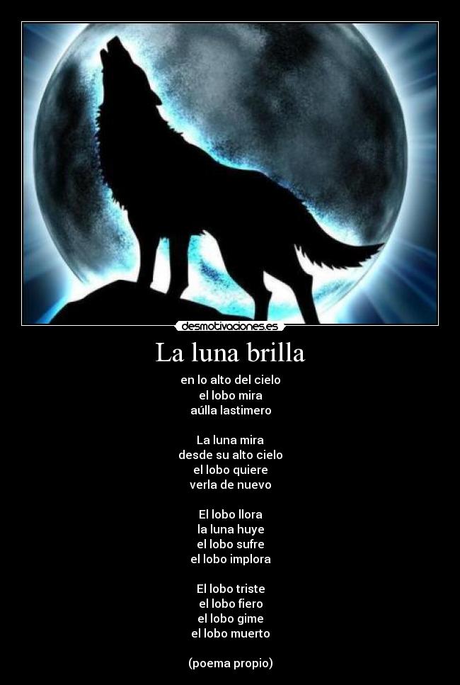 La luna brilla - en lo alto del cielo
el lobo mira
aúlla lastimero

La luna mira
desde su alto cielo
el lobo quiere
verla de nuevo

El lobo llora
la luna huye
el lobo sufre
el lobo implora

El lobo triste
el lobo fiero
el lobo gime
el lobo muerto

(poema propio)