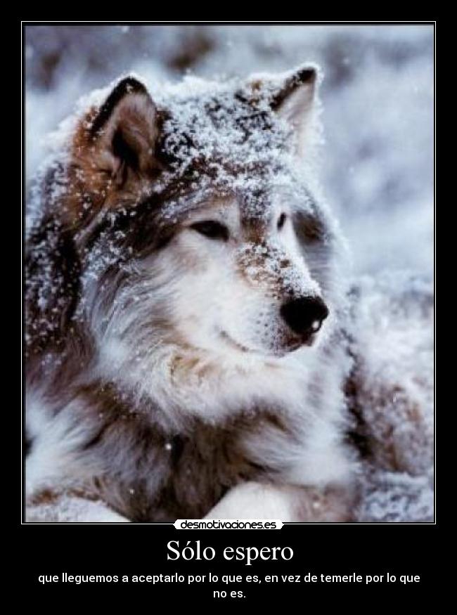 Sólo espero - que lleguemos a aceptarlo por lo que es, en vez de temerle por lo que no es.