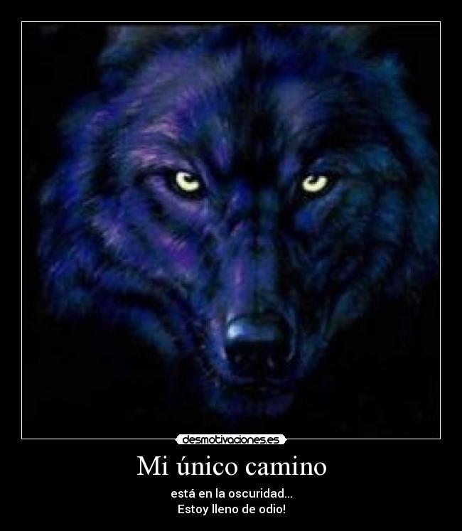 Mi único camino - 