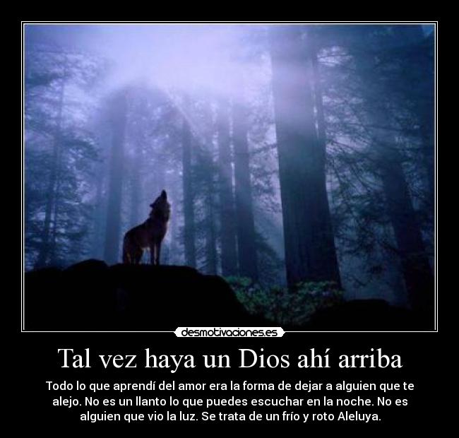 Tal vez haya un Dios ahí arriba - 