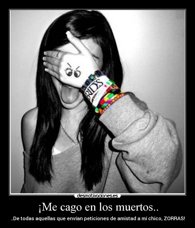 ¡Me cago en los muertos.. - ..De todas aquellas que envían peticiones de amistad a mí chico, ZORRAS!