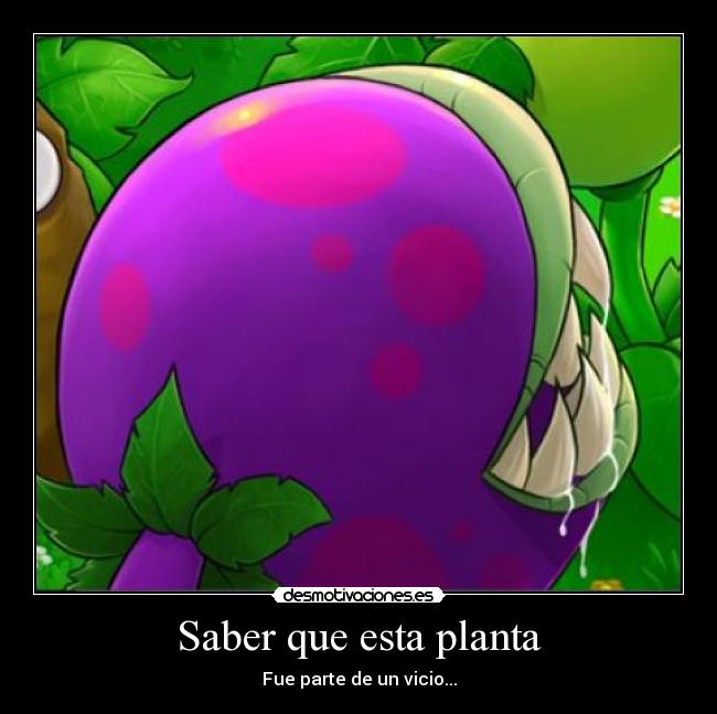 Saber que esta planta - Fue parte de un vicio...