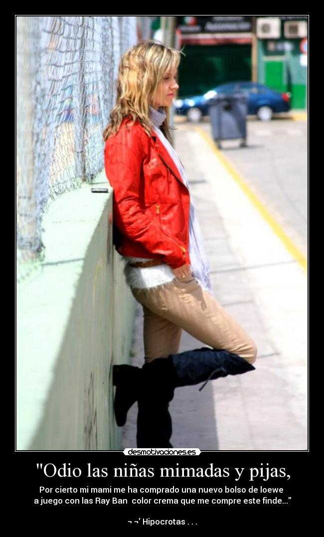 carteles odio ninas mimadas pijas desmotivaciones