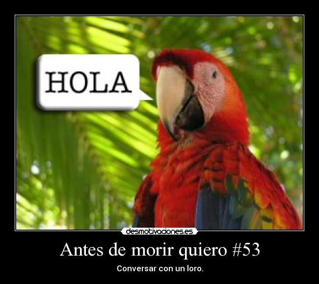 Antes de morir quiero #53 -