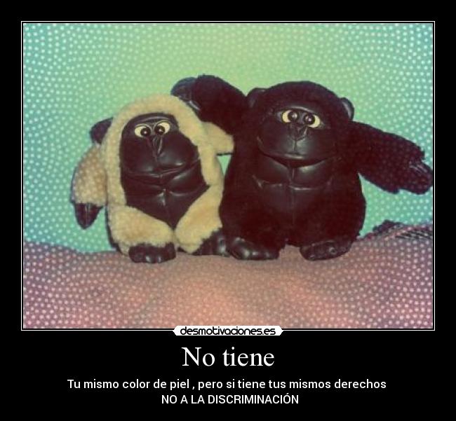 No tiene - 