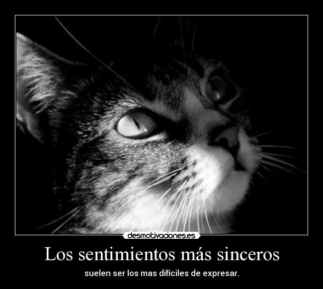 Los sentimientos más sinceros - 