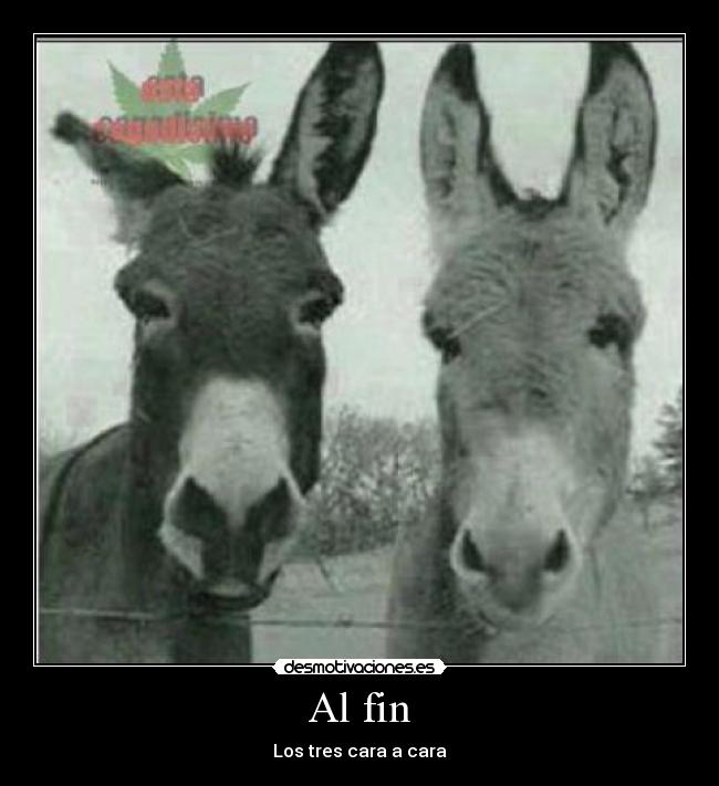 Al fin - Los tres cara a cara