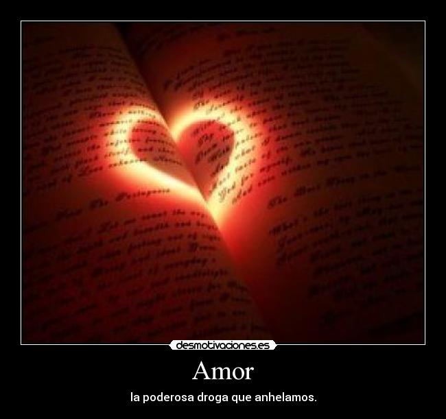 Amor -