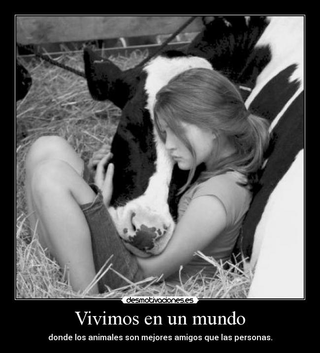 Vivimos en un mundo -