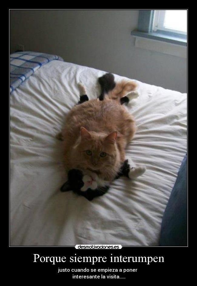 Porque siempre interumpen -