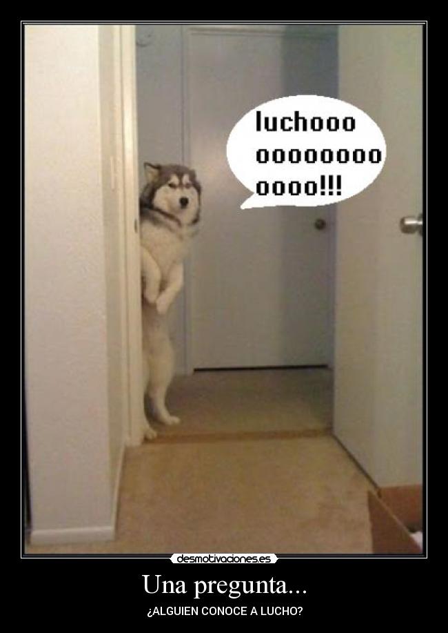 Una pregunta... - ¿ALGUIEN CONOCE A LUCHO?