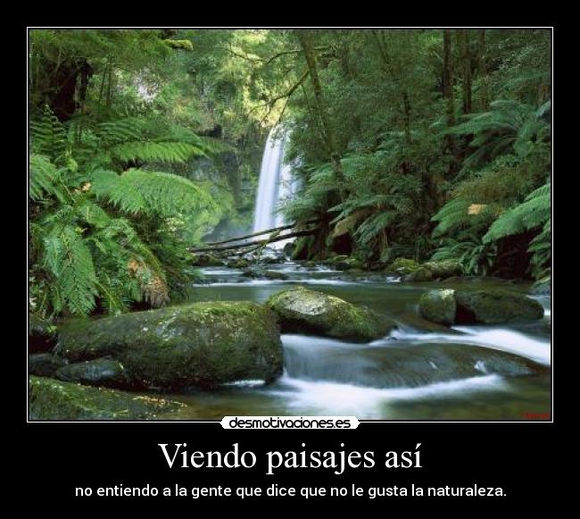 Viendo paisajes así -