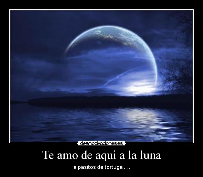 Te amo de aqui a la luna - a pasitos de tortuga . . .