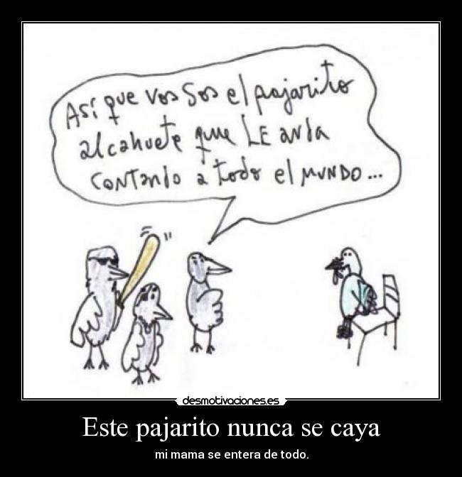 Este pajarito nunca se caya - mi mama se entera de todo.