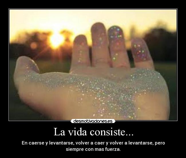 La vida consiste... -