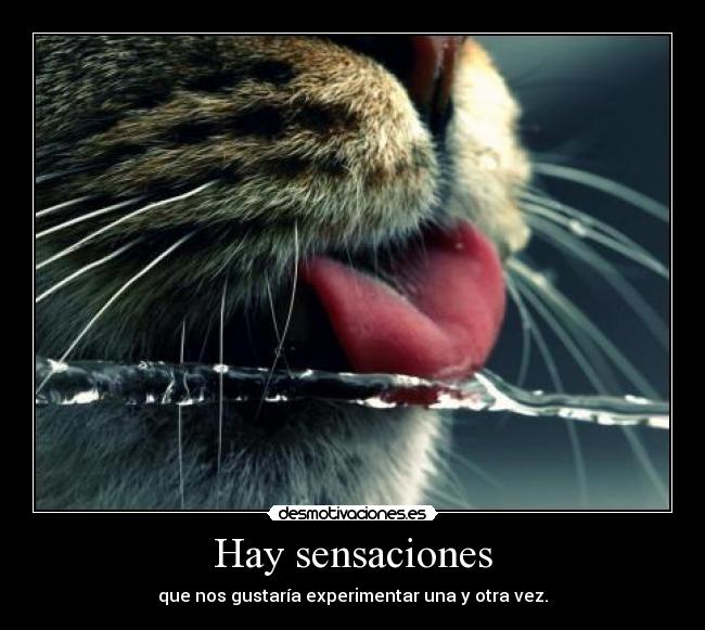 Hay sensaciones - 