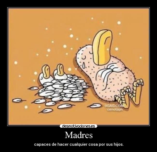 Madres - capaces de hacer cualquier cosa por sus hijos.