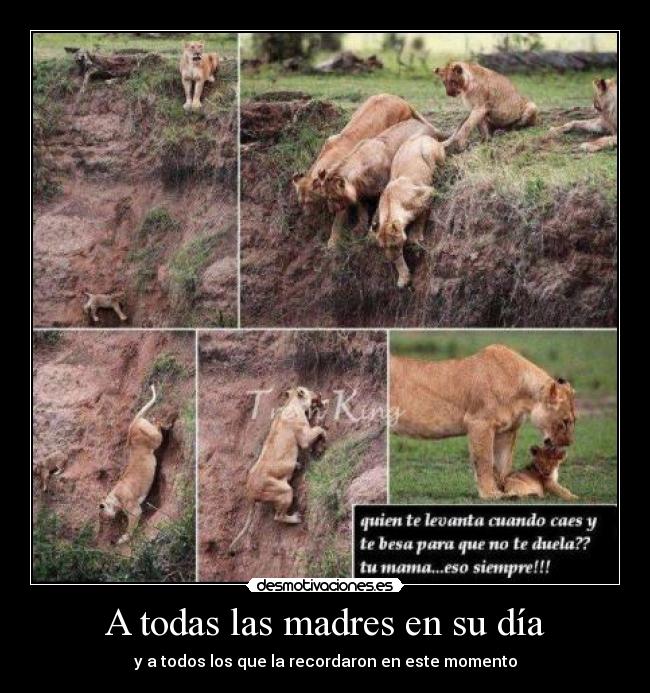 carteles dia las madres que bello miguel352 desmotivaciones