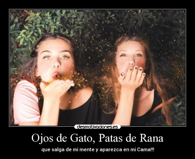 Ojos de Gato, Patas de Rana - que salga de mi mente y aparezca en mi Cama!!!