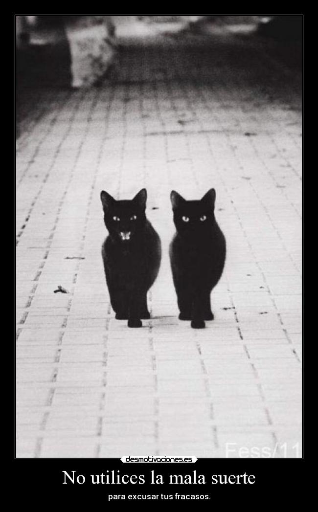 No utilices la mala suerte - 