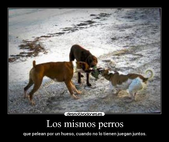Los mismos perros -