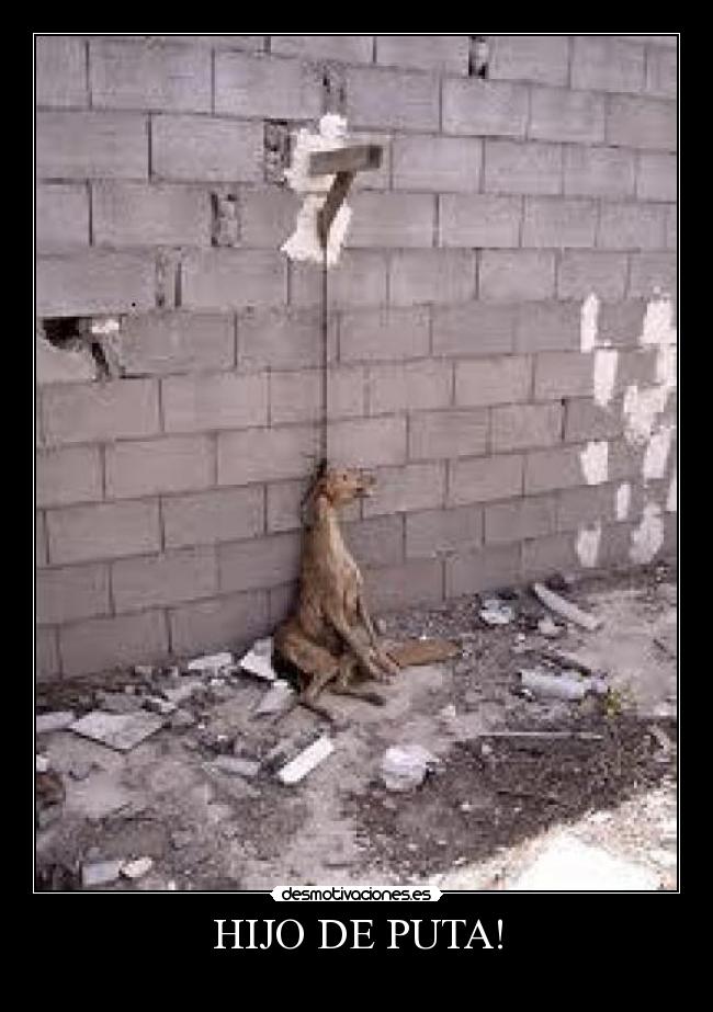 HIJO DE PUTA! -