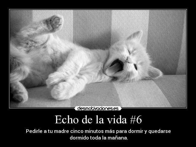 Echo de la vida #6 - Pedirle a tu madre cinco minutos más para dormir y quedarse
dormido toda la mañana.