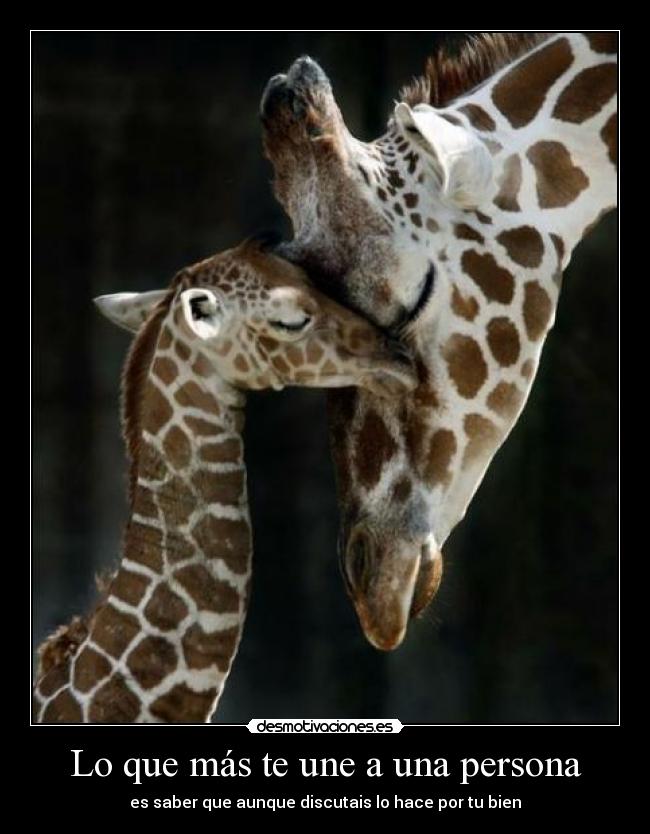 Lo que más te une a una persona - es saber que aunque discutais lo hace por tu bien
