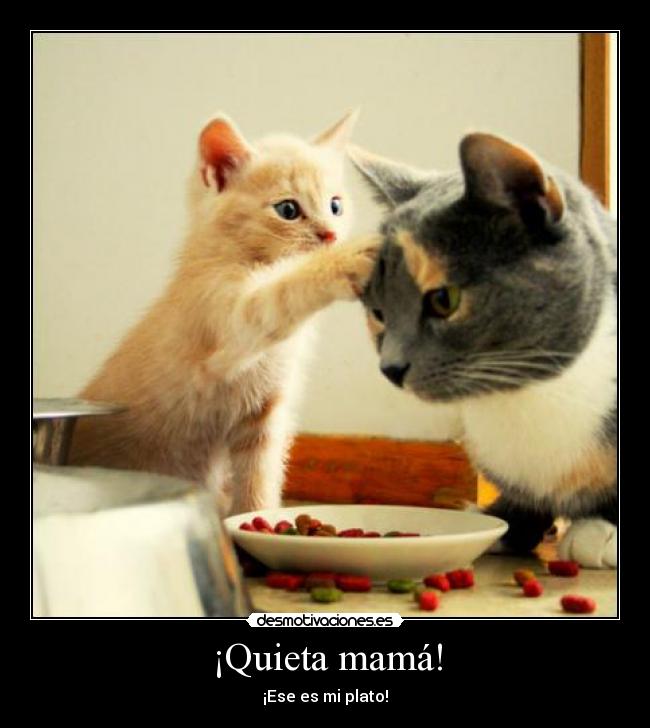 ¡Quieta mamá! - ¡Ese es mi plato!