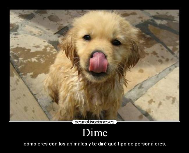 Dime -