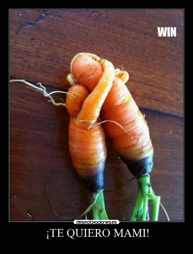 ¡TE QUIERO MAMI! -