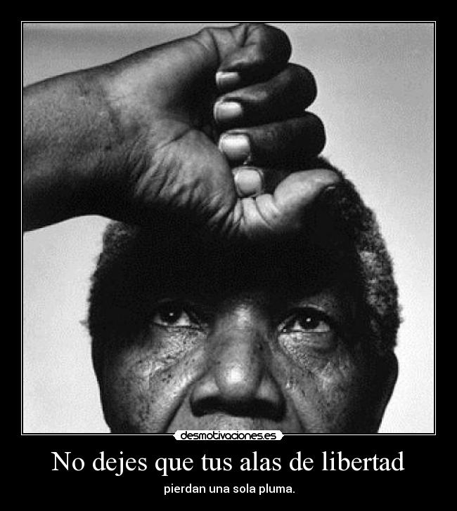 No dejes que tus alas de libertad - 