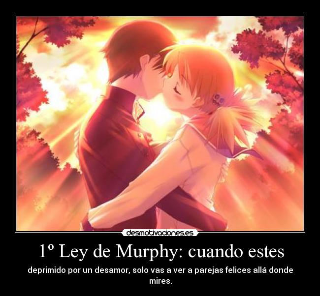 1º Ley de Murphy: cuando estes - 