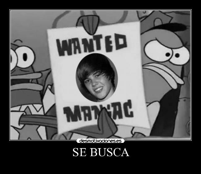 carteles busca desmotivaciones