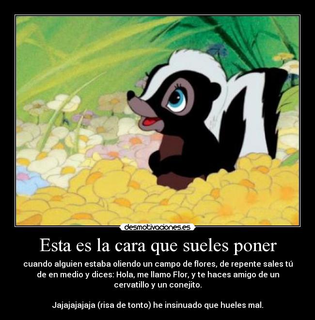 Esta es la cara que sueles poner - cuando alguien estaba oliendo un campo de flores, de repente sales tú
de en medio y dices: Hola, me llamo Flor, y te haces amigo de un
cervatillo y un conejito.
Jajajajajaja (risa de tonto) he insinuado que hueles mal.