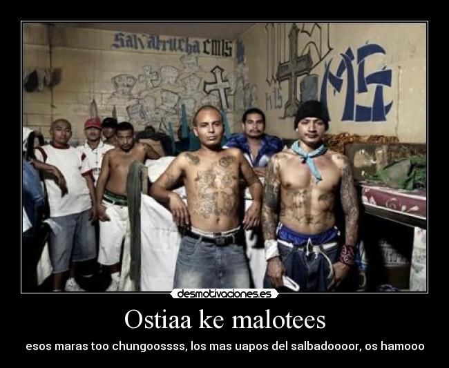 Ostiaa ke malotees -