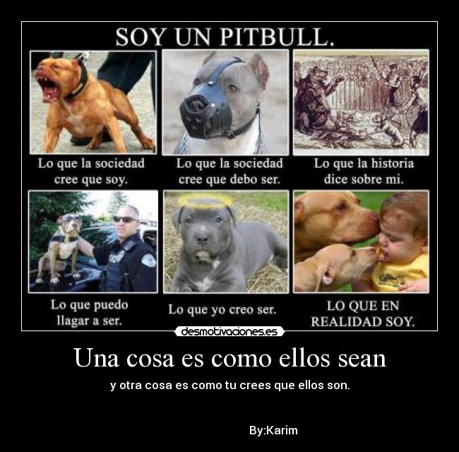 carteles una cosa como ellos sean desmotivaciones