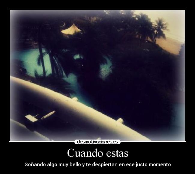 carteles elliuz desmotivaciones