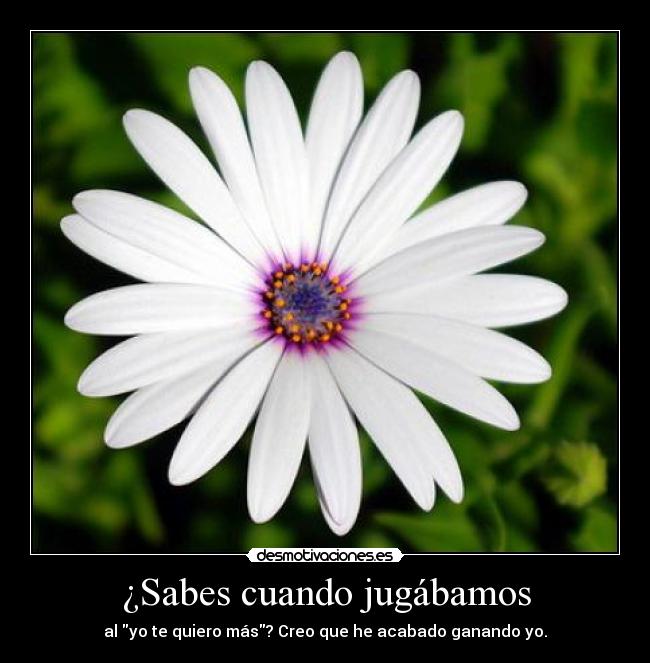 ¿Sabes cuando jugábamos - al yo te quiero más? Creo que he acabado ganando yo.