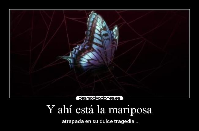 Y ahí está la mariposa - 